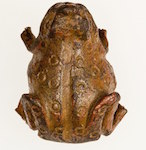 Frog-amulet3