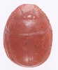 Scarab-amulet2
