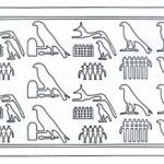 den-list