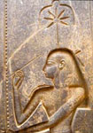 seshat