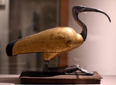 Thoth, bir Ibis telif hakkı olarak Wikipedia, Brooklyn Müzesi'ndeki Sanatı Seviyor