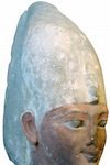 whitecrown